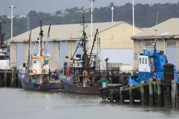 Trawlers at the Onehunga Wharf, 2009 Image: Trawlers at the Onehunga Wharf, 2009