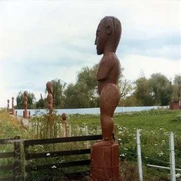 Papawai whakapakoko: Photograph