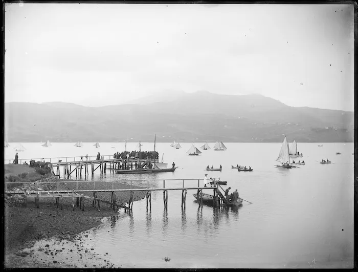 Broad Bay, Dunedin