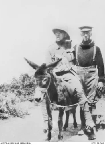 Image: 3/258 Pte Richard Alexander (Dick) Henderson, a stretcher bearer in the New Zealand Expeditionary Force serving on Gallipoli, with a donkey assisting a wounded soldier from the front line at Anzac. ..
