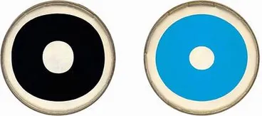 Image: Untitled (black and blue)