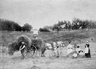 Image: One Tree Hill hay-making