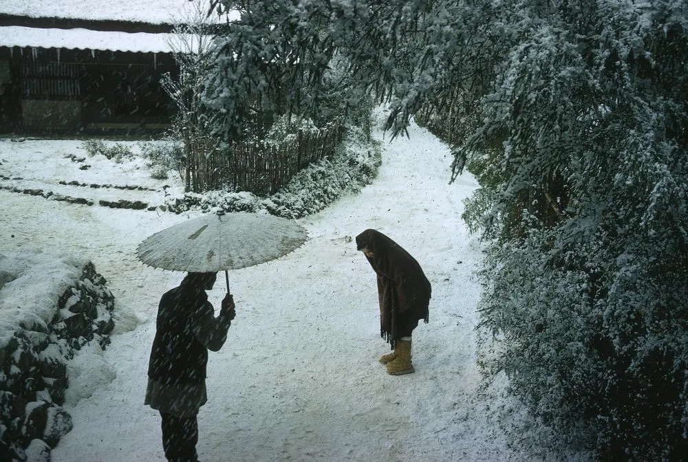 Japan Series: Movie Industries