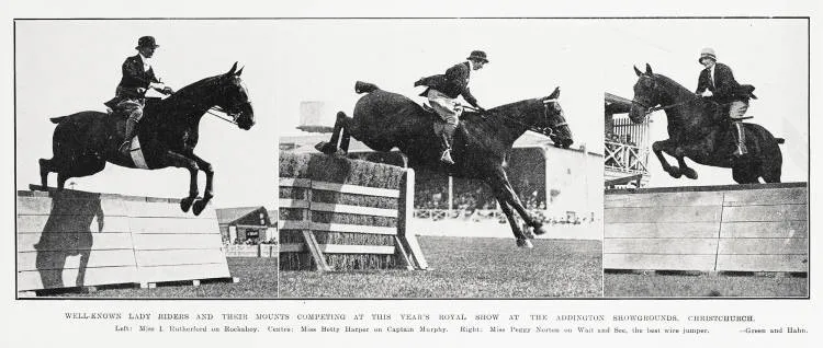 Well-Known Lady Riders And Their Mounts Competing at this Year's Royal Show at the Addington Showground, Christchurch