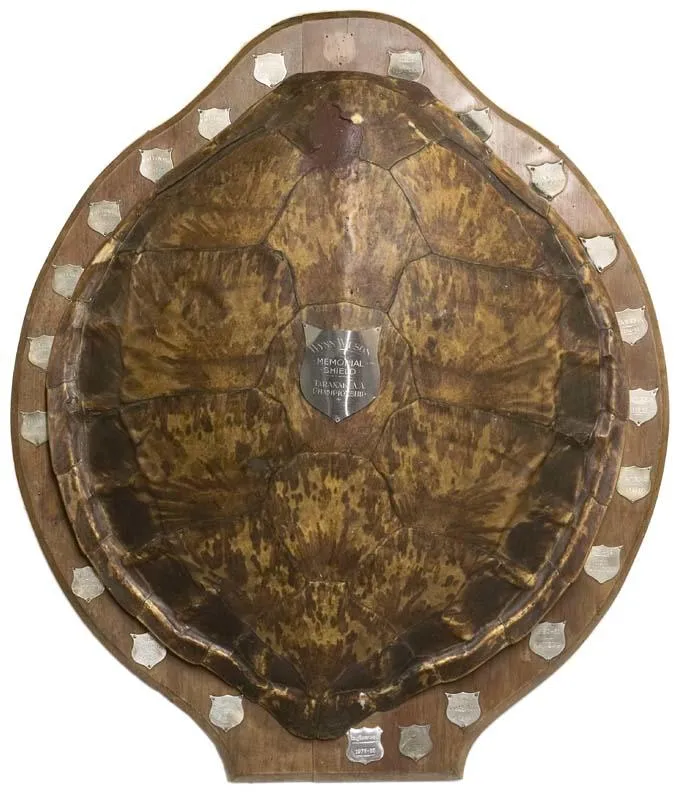 Shield, Athletics