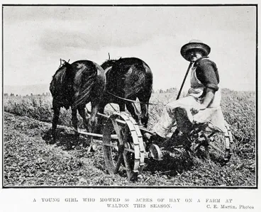 Image: A young girl who mowed 50 acres of hay on a farm at Walton this season