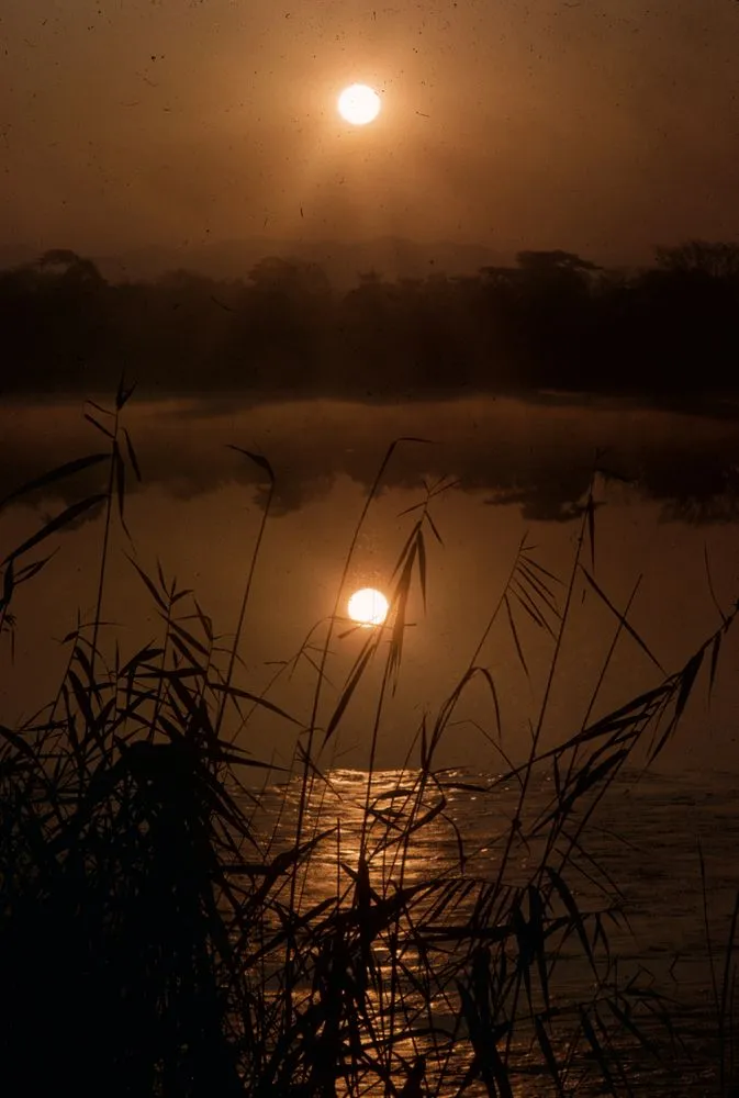 Japan series: Hirosawaike pond