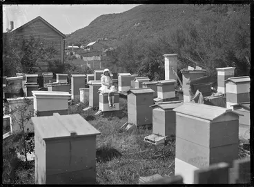 Image: Apiary at Mangapehi, 1920.