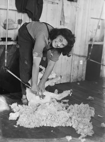 Image: [Portrait of woman shearing a sheep]
