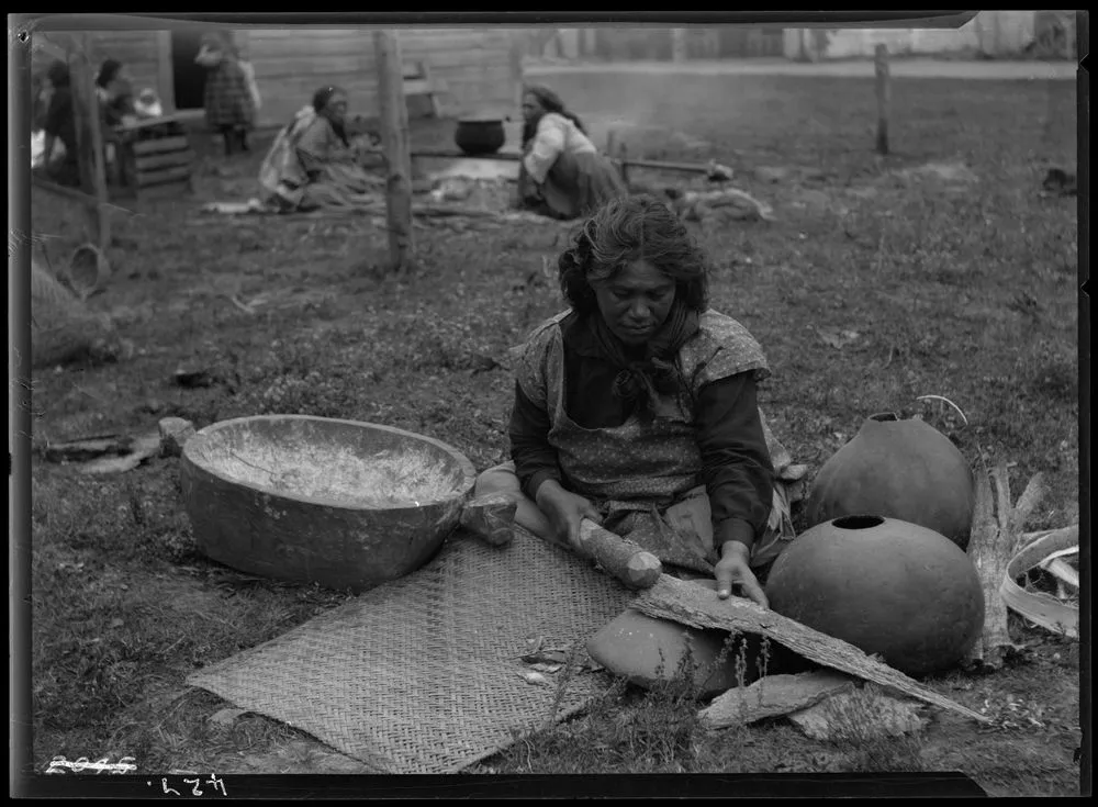 Preparing the Hinau Bark