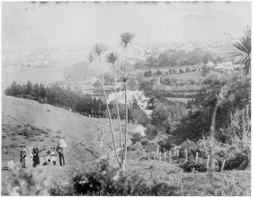 Image: View from hills showing Ratanui House, Riddler Farm, the Petone area and (possibly) the Hector family