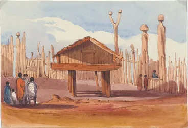 Pitoni. Image: Pitoni.