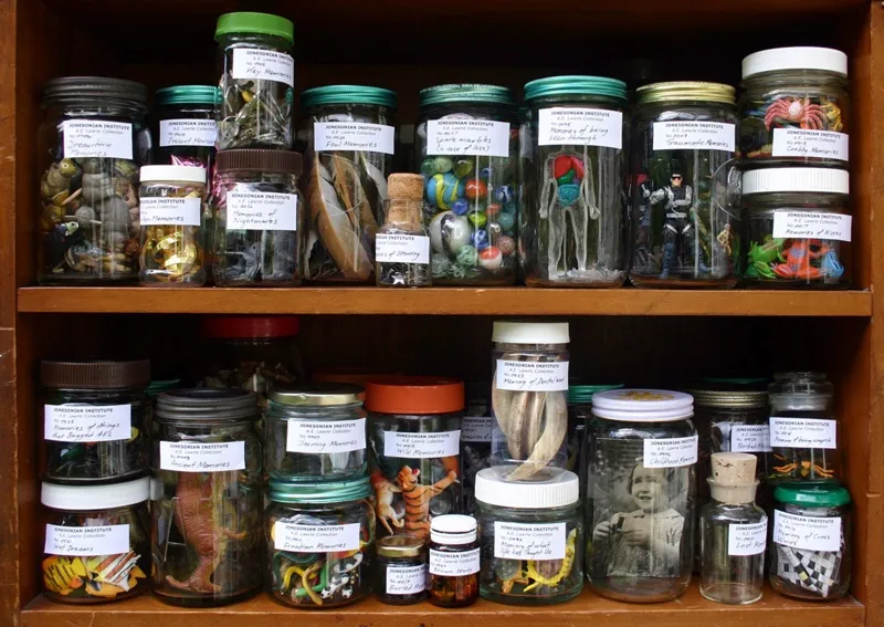 A selection of preserved memories from the Jonesonian Institute.