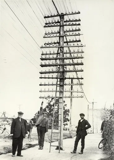 Telephone poles and lines (Lemon trees) Image: Telephone poles and lines (Lemon trees)