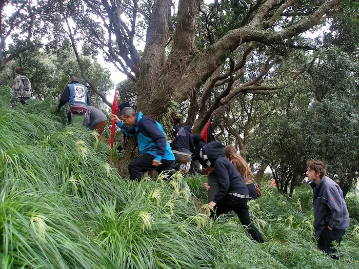 Photographs of National Front and anti-racism demonstrations, Wellington