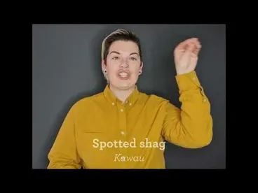 Image: NZSL - spotted shag