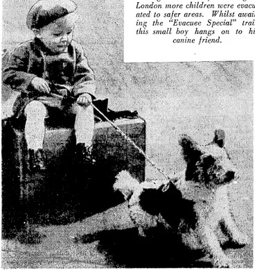 Image: During recent' heavy bombing of London more children were evacuated to safer areas. Whilst awaiting the "Evacuee Special" train this small boy hangs on to his canine friend. (Evening Post, 07 February 1941)