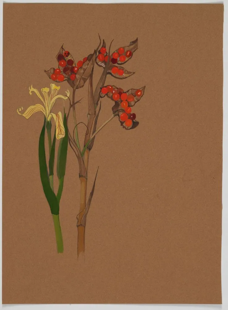 Unidentified specimen