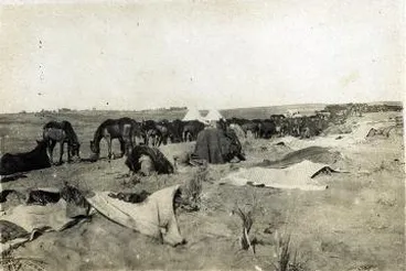 Image: Mounted Rifles camp : photograph