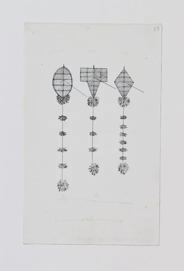 Image: Drawings of kites (for Games and Pastimes of the Māori by Elsdon Best)