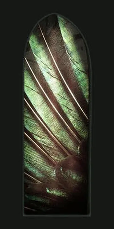 Image: Papa Hou [5 - Tui Wing]