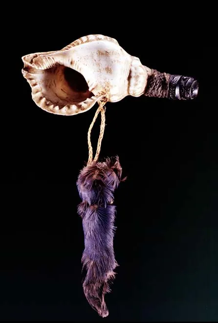 Pūtātara (shell trumpet)