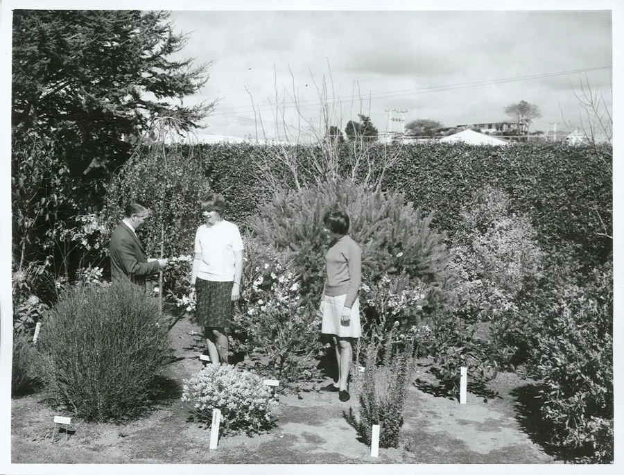 Agriculture - Floriculture