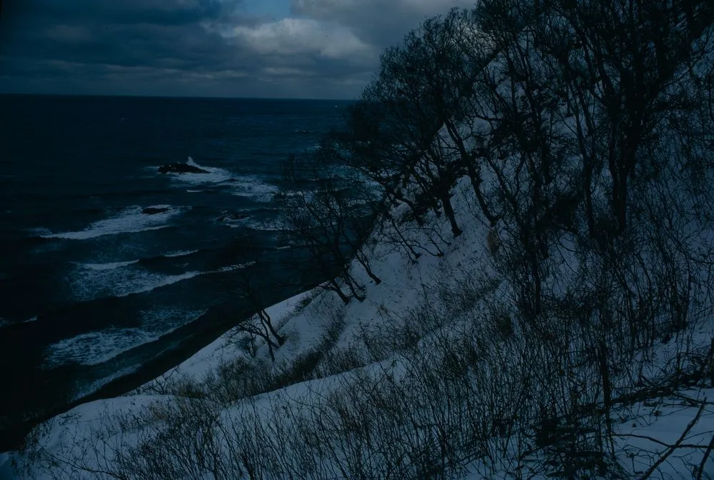 Japan Series: Winter Scene