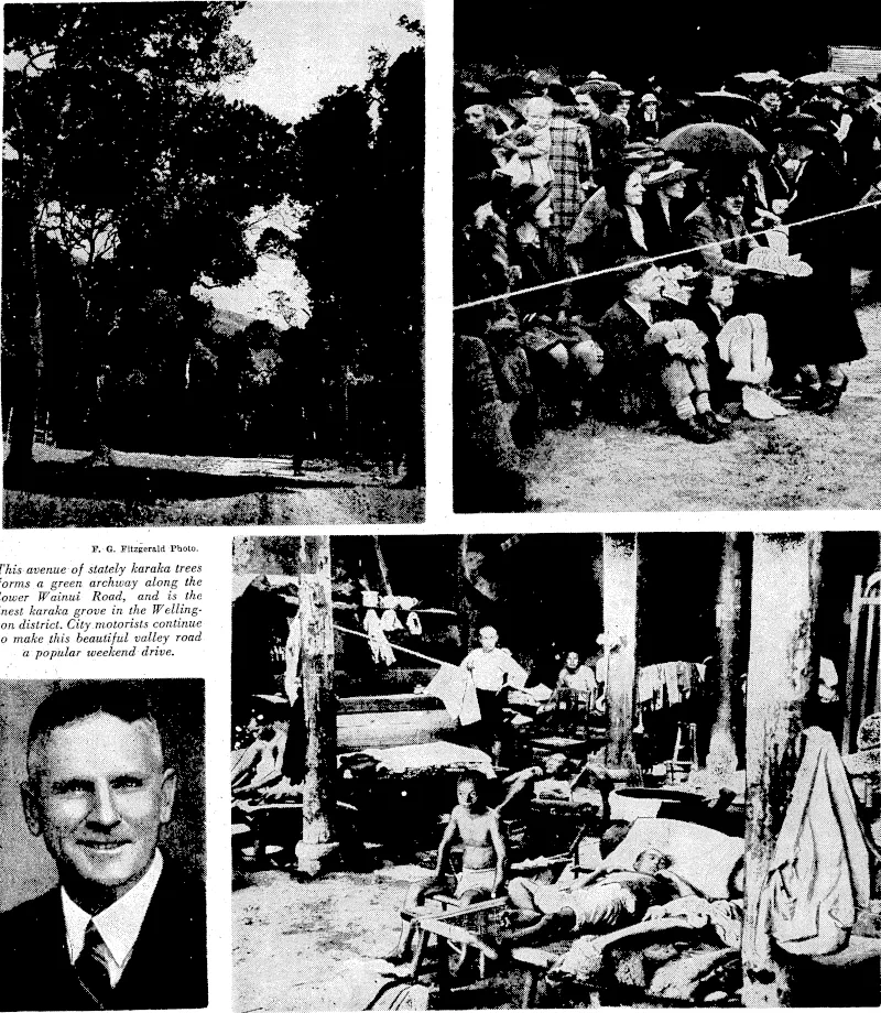 E.G. Fitzgerald Photo. i This avenue of stately karaka trees forms a green archway along the lower Wainui Road, and is the finest karaka grove in the Wellington district. City.motorists continue to make this beautiful valley road a popular weekend drive. Tesla Studios Photo. "Sport and General" Photo. Mr. A. R. Donaldson, appointed Chinese soldiers captured by secretary of the Wanganui Japanese in the recent fighting Chamber of Commerce. HBis also around Kiukiang are shown in a secretary of the Wanganui A. and prisoners' shelter in the occupied P. Association. territory. (Evening Post, 01 November 1938)