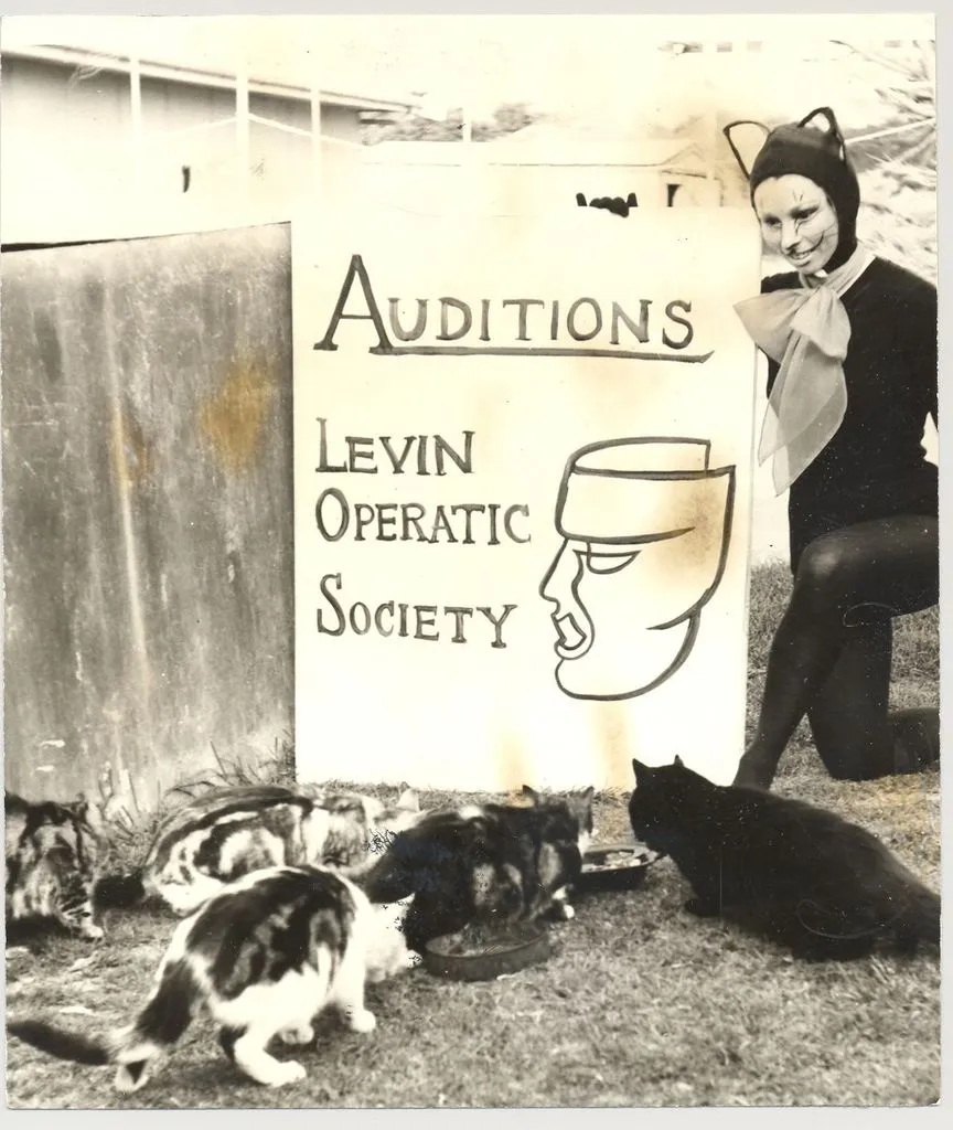 Levin Performing Arts Society