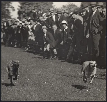 Image: Whippet racing at Holme Station garden fete - Photograph taken by S A Bremford