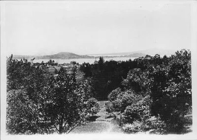 View from Domain to harbour.