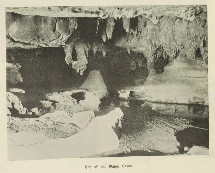 The Waipu Caves