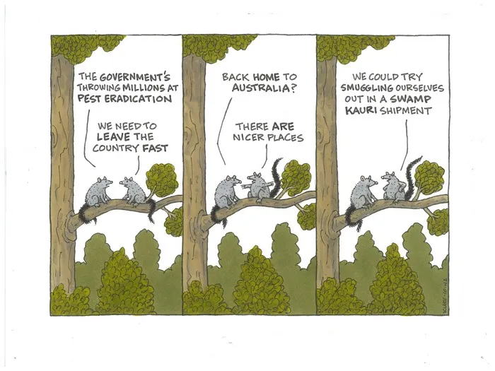 Pest eradication - Swamp kauri