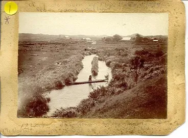 Image: Hector McDonald Jnr in canoe on Hokio Stream