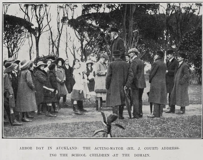 Arbor Day In Auckland