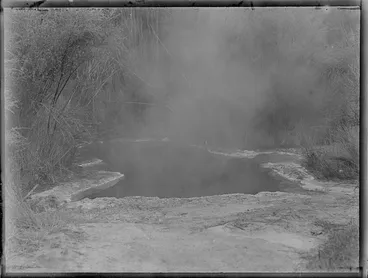 Image: Hot pool, Rotorua District