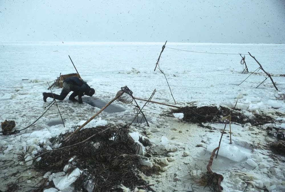 Japan Series: winter fishing
