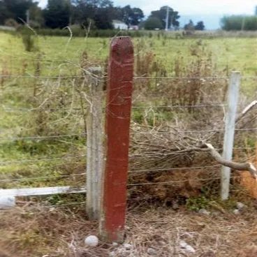 Image: Papawai whakapakoko: Photograph