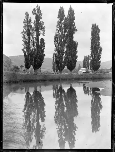 Image: Rural scene beside a river