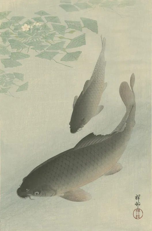 Two Carp and Blooming Water Plants