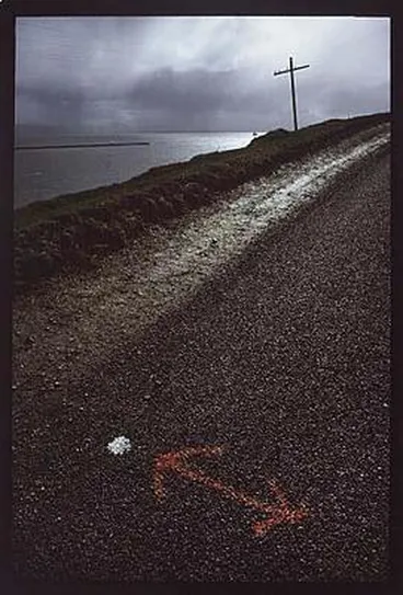 Image: Tairaoa Head, Otago Peninsula