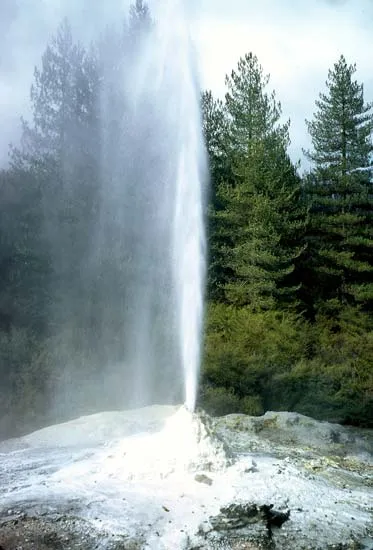 Lady Knox geyser erupting