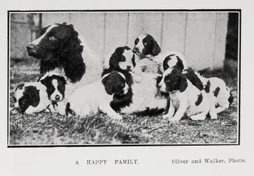 Image: A Happy Family