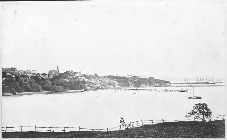 Mechanics Bay and Official Bay from St Barnabas Point, Parnell