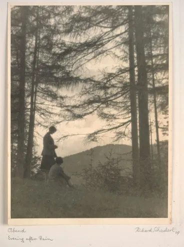 Image: Abend - Evening after Rain