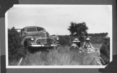 [A picnic on the grass]