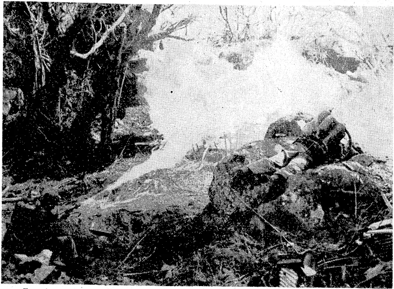 Two American marines use flame-throwers' to dislodge Japanese on the way to Mount Suribachi, on lwo lima. (Evening Post, 02 April 1945)