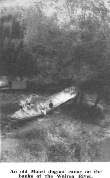 Image: An old Maori dugout canoe on the banks of the Wairoa River