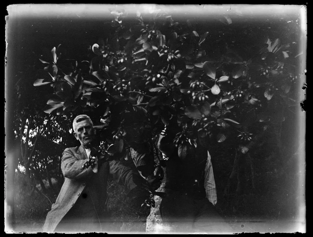 Kapiti Island and Orongorongo trip, February 1921